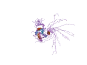 2fho: NMR solution structure of the human spliceosomal protein complex p14-SF3b155