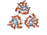 2fvl: Crystal structure of human 3-alpha hydroxysteroid/dihydrodiol dehydrogenase (AKR1C4) complexed with NADP+