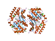 2g0a: X-ray structure of mouse pyrimidine 5'-nucleotidase type 1 with lead(II) bound in active site