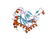 2g19: Cellular Oxygen Sensing: Crystal Structure of Hypoxia-Inducible Factor Prolyl Hydroxylase (PHD2)