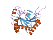 2g1m: Cellular Oxygen Sensing: Crystal Structure of Hypoxia-Inducible Factor Prolyl Hydroxylase (PHD2)