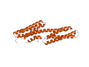 2gdc: Structure of Vinculin VD1 / IpaA560-633 complex