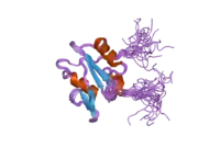 2gsb: Solution structure of the second SH2 domain of human Ras GTPase-activating protein 1