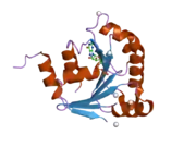 2h18: Structure of human ADP-ribosylation factor-like 10B (ARL10B)