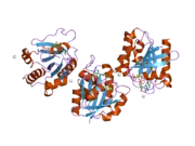 2h57: Crystal structure of human ADP-ribosylation factor-like 6