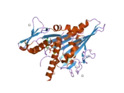 2h58: Crystal structure of the KIFC3 motor domain in complex with ADP