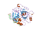 2h9t: Crystal structure of human alpha-thrombin in complex with suramin