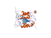 2hbr: Crystal structure of human caspase-1 (Arg286->Ala) in complex with 3-[2-(2-benzyloxycarbonylamino-3-methyl-butyrylamino)-propionylamino]-4-oxo-pentanoic acid (z-VAD-FMK)