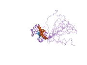 2hlw: Solution Structure of the Human Ubiquitin-conjugating Enzyme Variant Uev1a