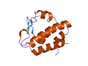 2hpl: Crystal structure of the mouse p97/PNGase complex