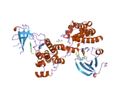 2hwo: Crystal structure of Src kinase domain in complex with covalent inhibitor