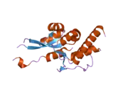 2hwx: Structure of human SMG6 E1282C PIN domain mutant.