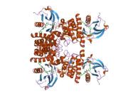 2hyy: Human Abl kinase domain in complex with imatinib (STI571, Glivec)