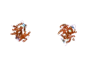 2i0j: Benzopyrans are Selective Estrogen Receptor beta Agonists (SERBAs) with Novel Activity in Models of Benign Prostatic Hyperplasia