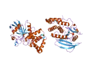 2i4e: Structural studies of protein tyrosine phosphatase beta catalytic domain in complex with inhibitors