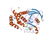 2i4h: Structural studies of protein tyrosine phosphatase beta catalytic domain co-crystallized with a sulfamic acid inhibitor