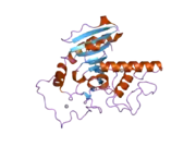 2i7b: Structure of the naturally occurring mutant of human ABO(H) Blood group B glycosyltransferase: GTB/A268T