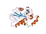 2ifd: Crystal structure of a remote binding site mutant, R492L, of CDC25B Phosphatase catalytic domain