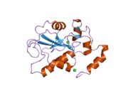 2ifv: Crystal structure of an active site mutant, C473D, of CDC25B phosphatase catalytic domain