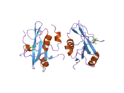 2iui: CRYSTAL STRUCTURE OF THE PI3-KINASE P85 N-TERMINAL SH2 DOMAIN IN COMPLEX WITH PDGFR PHOSPHOTYROSYL PEPTIDE