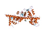 2ix7: STRUCTURE OF APO-CALMODULIN BOUND TO UNCONVENTIONAL MYOSIN V