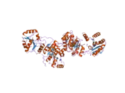 2j0u: THE CRYSTAL STRUCTURE OF EIF4AIII-BARENTSZ COMPLEX AT 3.0 A RESOLUTION