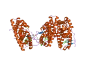 2jf9: ESTROGEN RECEPTOR ALPHA LBD IN COMPLEX WITH A TAMOXIFEN-SPECIFIC PEPTIDE ANTAGONIST