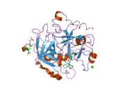 2jh5: HUMAN THROMBIN HIRUGEN INHIBITOR COMPLEX.