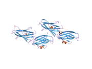 2jht: CRYSTAL STRUCTURE OF RHOGDI K135T,K138T,K141T MUTANT