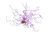 2jm2: Structure of the N-terminal subdomain of insulin-like growth factor (IGF) binding protein-6 and its interactions with IGFs