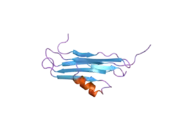 2npl: NMR Structure of CARD d2 Domain