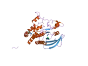 2nz6: Crystal structure of the PTPRJ inactivating mutant C1239S