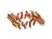 2ond: Crystal Structure of the HAT-C domain of murine CstF-77