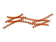 2osz: Structure of Nup58/45 suggests flexible nuclear pore diameter by intermolecular sliding