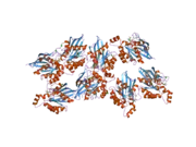 2ov2: The crystal structure of the human RAC3 in complex with the CRIB domain of human p21-activated kinase 4 (PAK4)