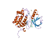 2owb: Structure of the Catalytic Domain of Human Polo-like Kinase 1