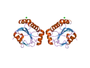 2p31: Crystal structure of human glutathione peroxidase 7