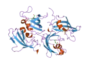 2pbc: FK506-binding protein 2