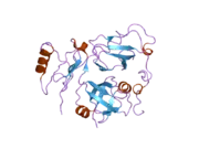 2pjh: Structural Model of the p97 N domain- npl4 UBD complex