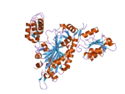 2pme: The Apo crystal Structure of the glycyl-tRNA synthetase