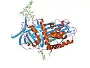 7api: THE S VARIANT OF HUMAN ALPHA1-ANTITRYPSIN, STRUCTURE AND IMPLICATIONS FOR FUNCTION AND METABOLISM