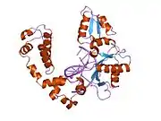 9ice: DNA POLYMERASE BETA (POL B) (E.C.2.7.7.7) COMPLEXED WITH SEVEN BASE PAIRS OF DNA; SOAKED IN THE PRESENCE OF DATP (1 MILLIMOLAR) AND CUCL2 (0.1 MILLIMOLAR)