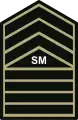 Senior master sergeant insigniaPhilippine Army