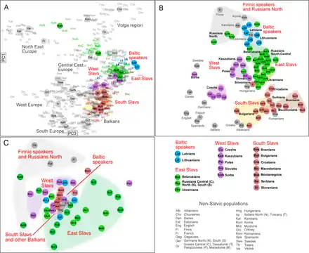 Genetic structure within European context according to three genetic systems atDNA (A), YDNA (B) and mtDNA (C) per Kushniarevich et al. (2015)