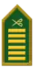 Colonel