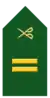 Lieutenant