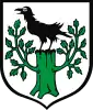 Coat of arms of Gozdnica