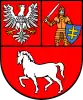 Łosice County