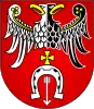 Brzeziny County