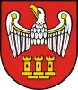 Chodzież County